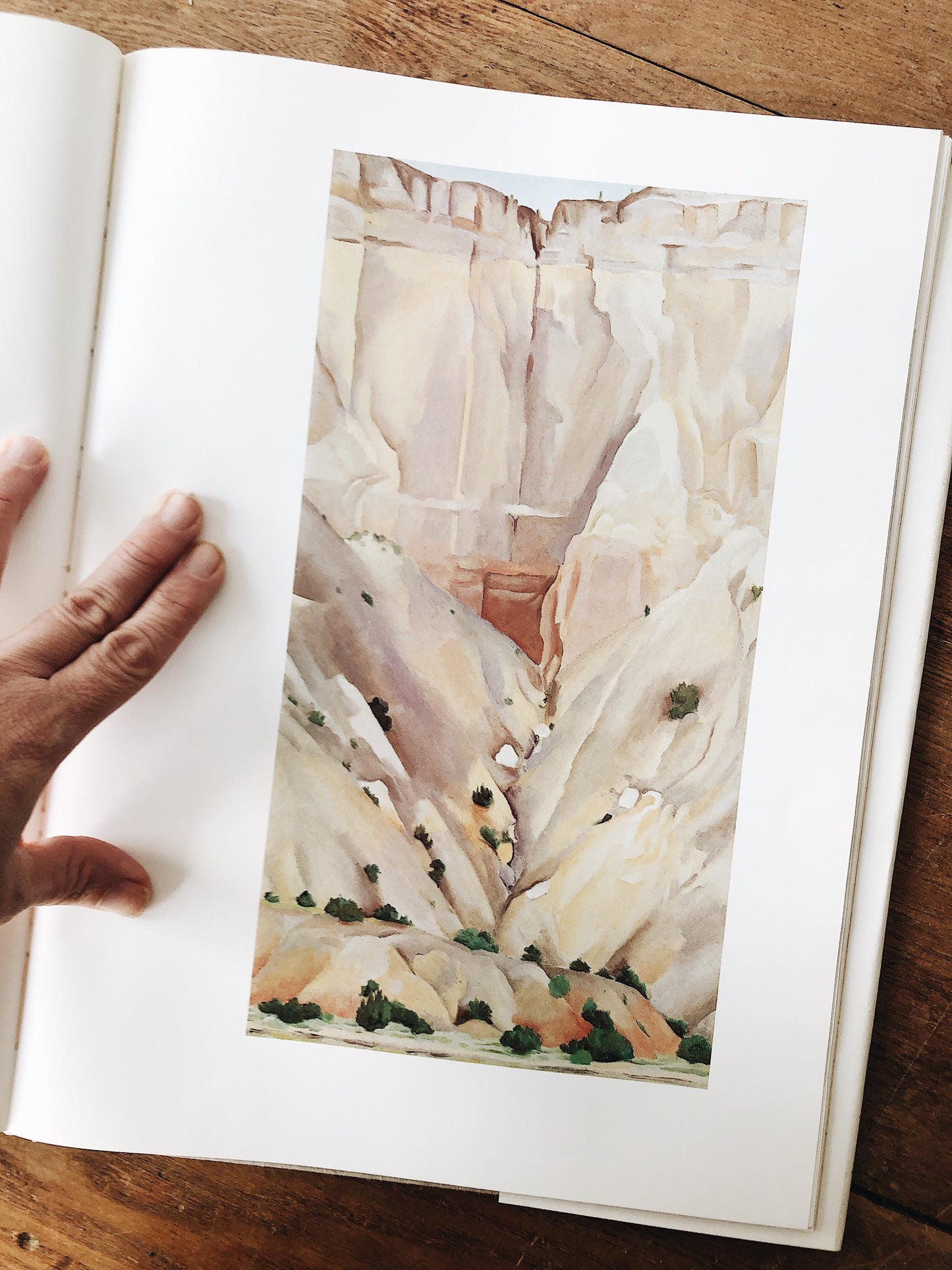 Vintage 1976 Georgia O’Keeffe Art Book