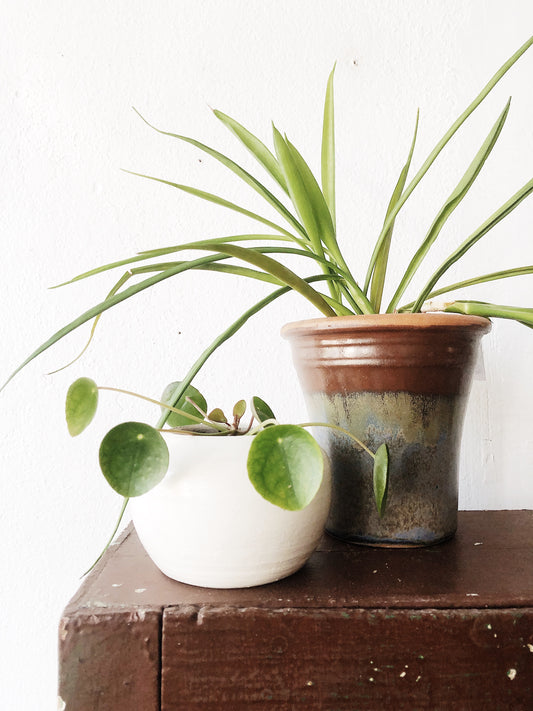 Handmade Mid Century Style Pottery