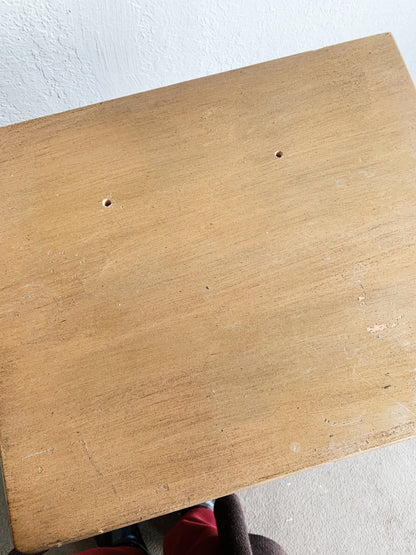 Vintage Wood Album Shelf/ Organizer