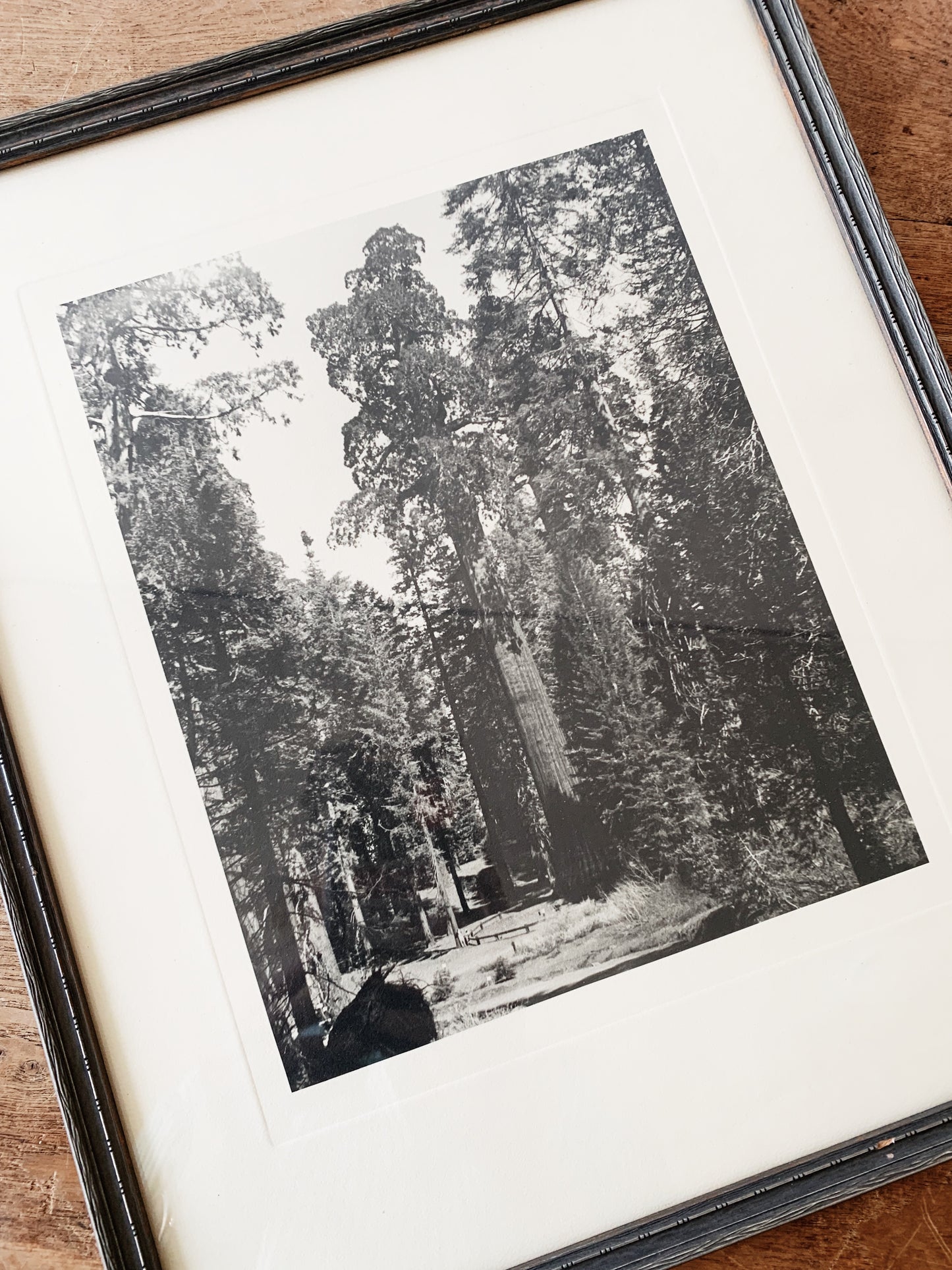 Antique Framed Print