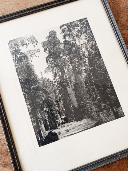 Antique Framed Print