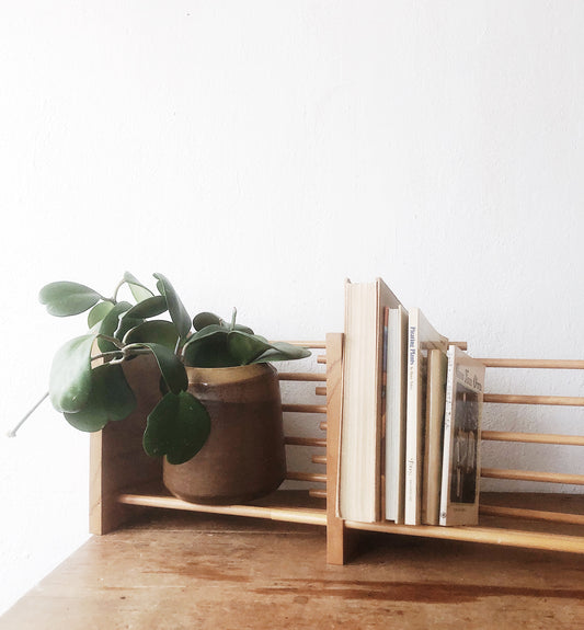 Vintage Expanding Book Rack or Shelf