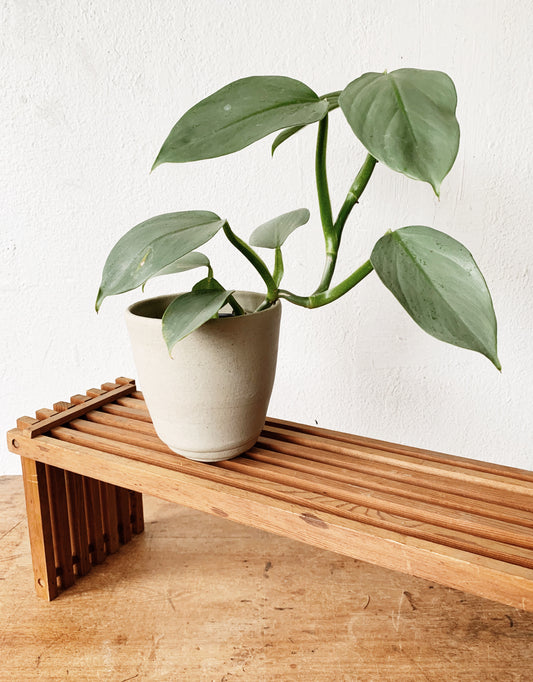 Vintage Slatted Collapsible Shelf