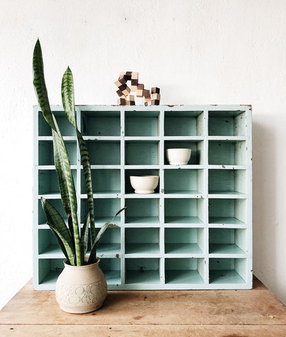 Sanseveria in Vintage Ceramic Pot