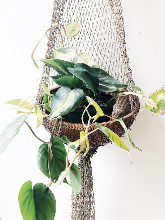 Vintage Net Hanger with Basket or Shelf