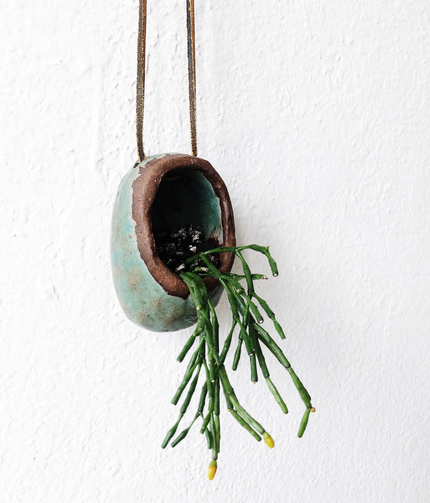 Handmade Ceramic Wall Planter