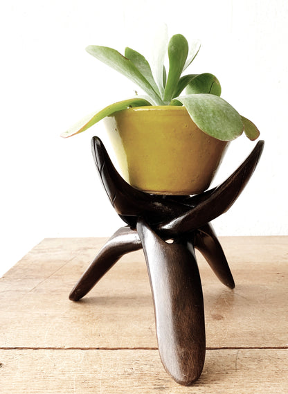 Vintage Collapsible Wood Stand with Pot