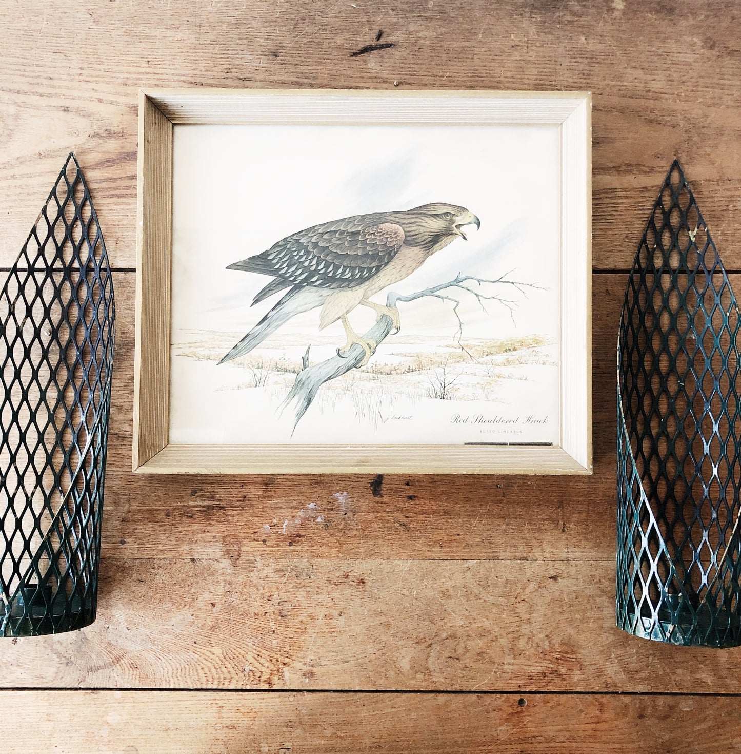Vintage J Lockhart Hawk Litho