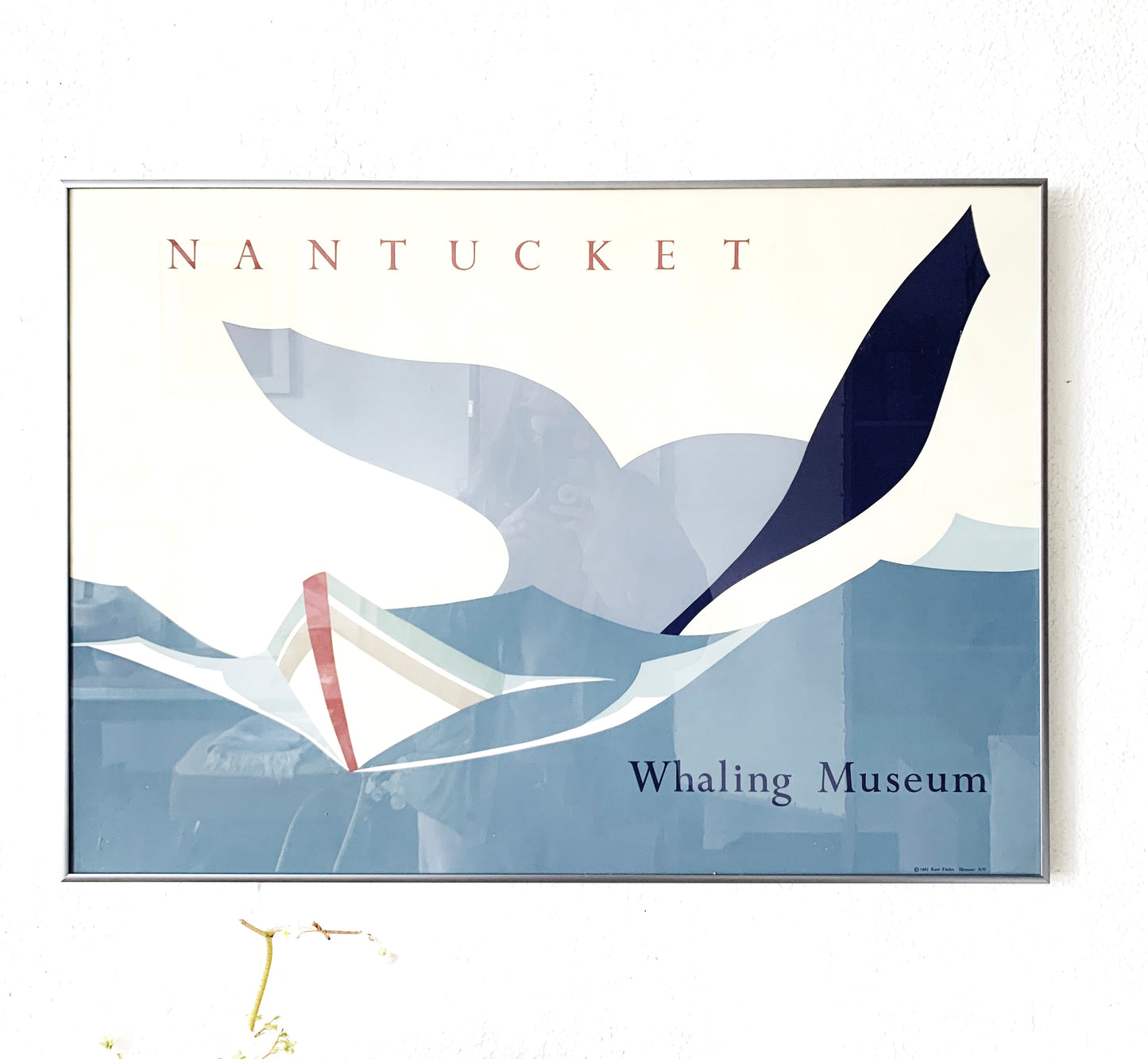 1980’s Framed Nantucket Whale Museum Print