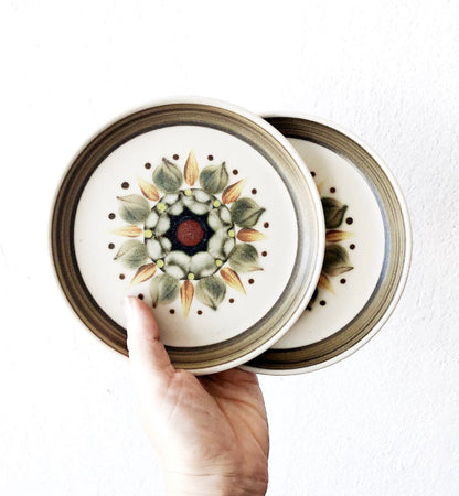 Pair of Mid Century English Plates