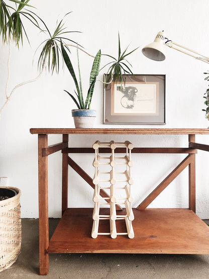 Potted Sanseveria in Vintage Clay