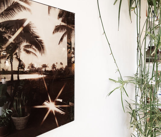 Vintage California Film Photo