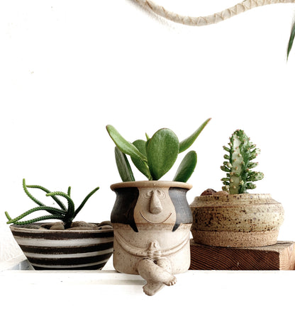 Small Potted Plant