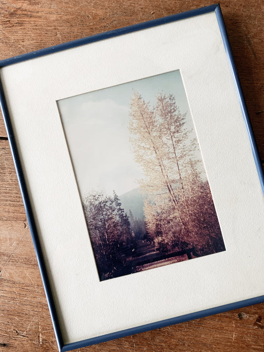 Vintage Framed Film Photograph