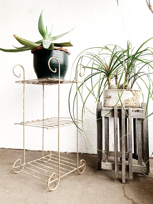 Mid Century Iron Plant Stand