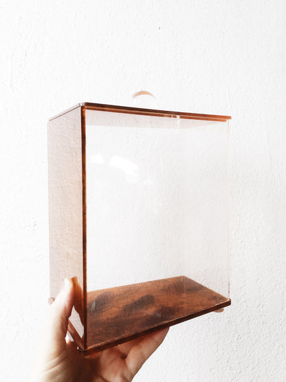 Vintage Mod Lucite Canister