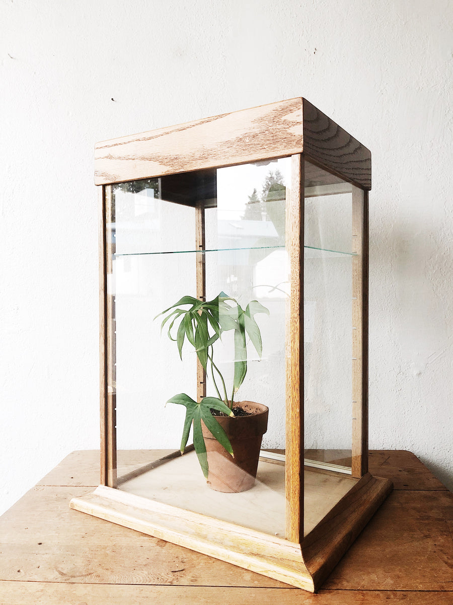 Vintage Glass Display Case Maven Collective