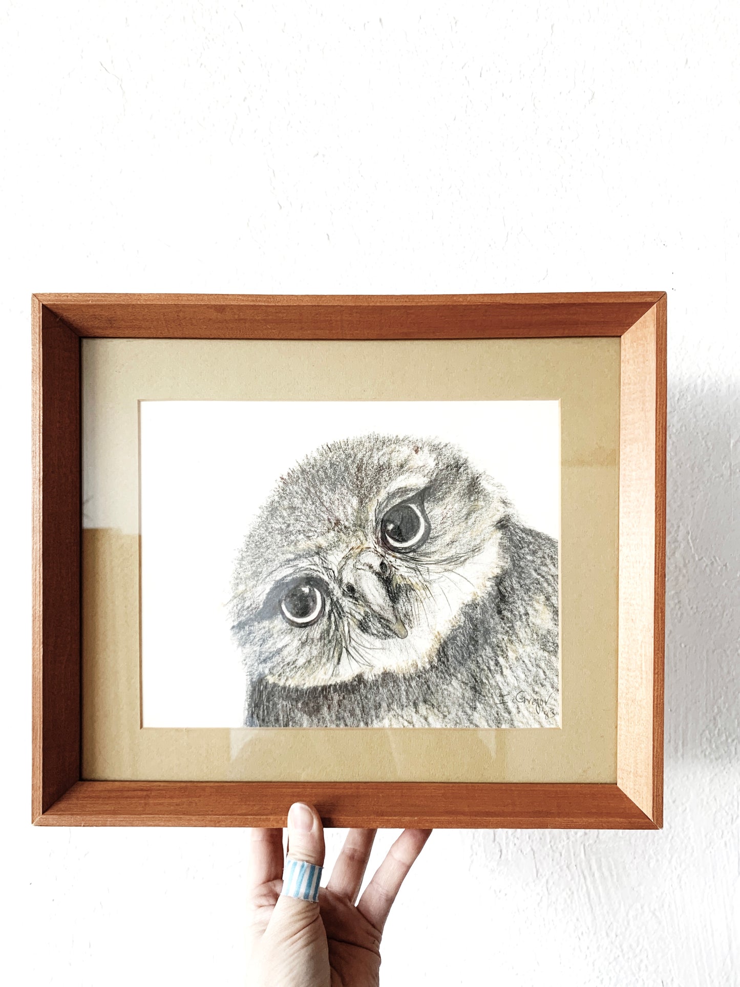 Vintage Framed Charcoal Owl Sketch