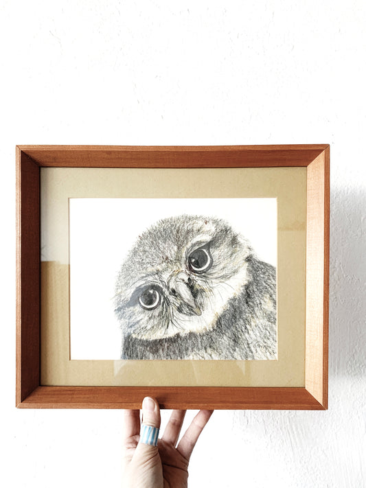 Vintage Framed Charcoal Owl Sketch