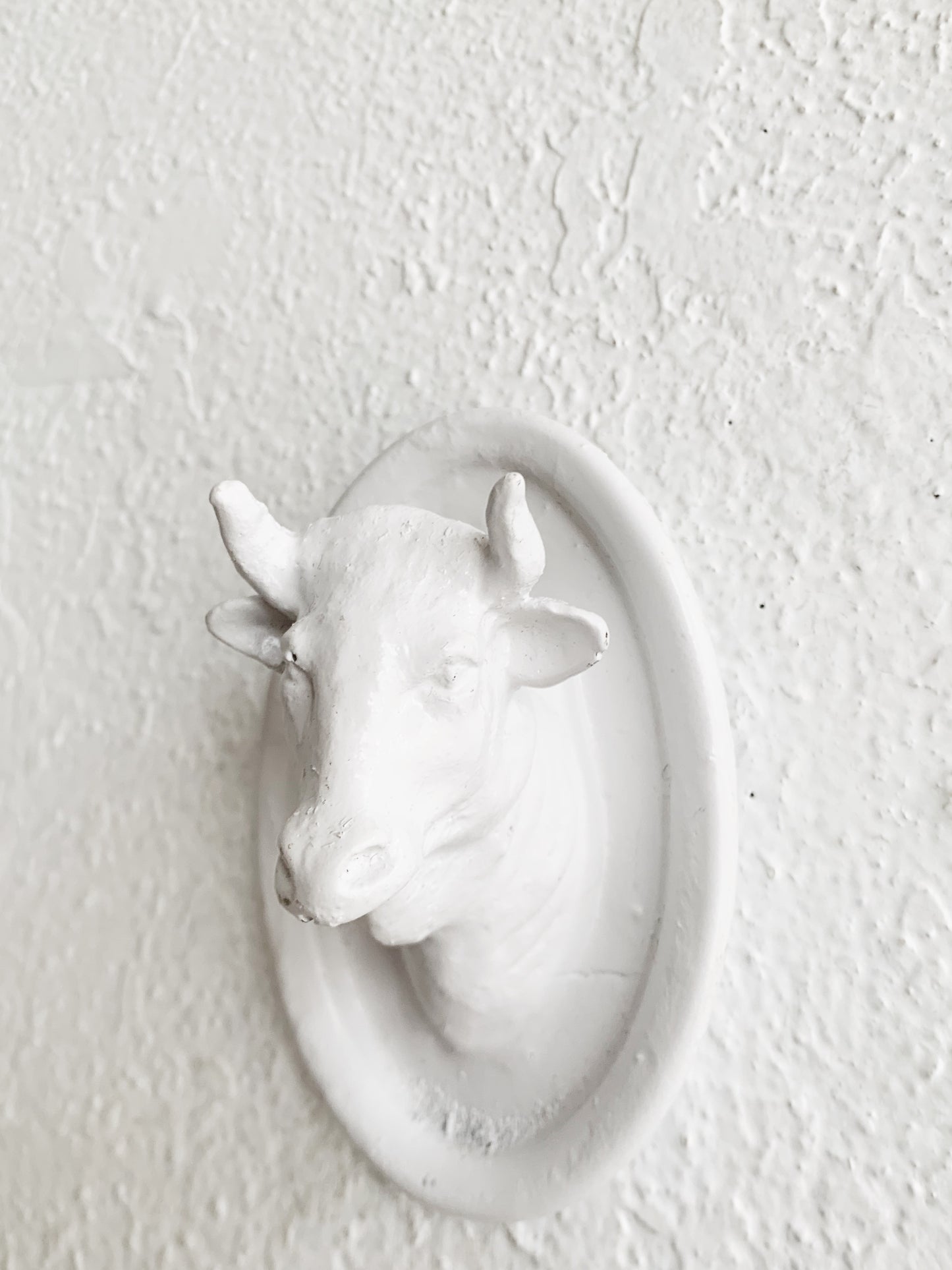 Vintage Plaster Bust with Hanger