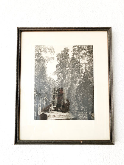 Antique Framed Print