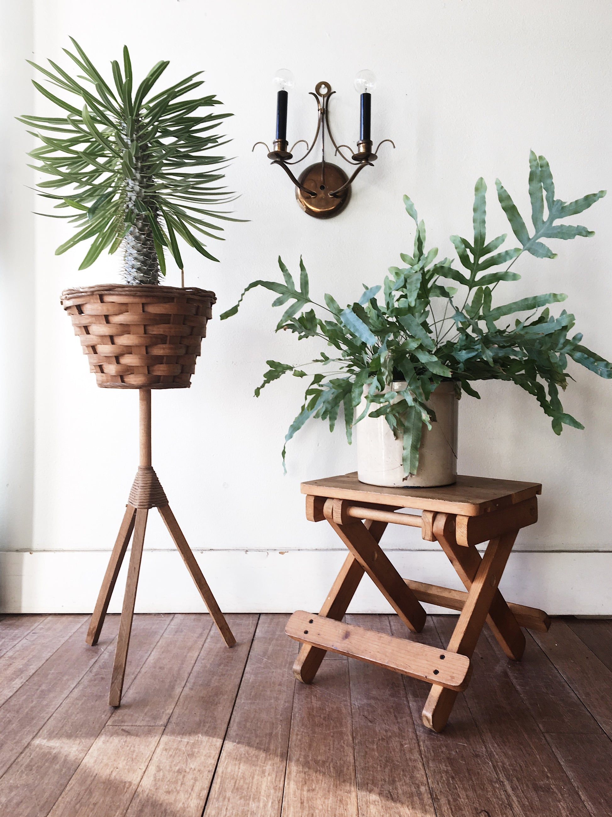 wooden plant stool indoor Vintage Wood Plant Stands – Maven Collective