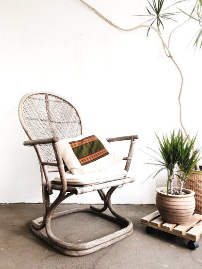 Vintage Albini Style Bamboo Chair