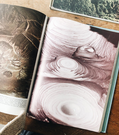 Vintage Natural History Book Collection