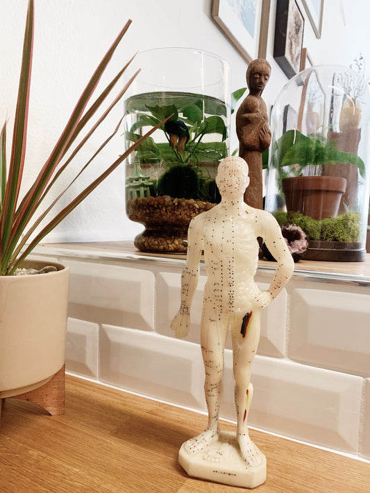 RESERVED Amelia Vintage Acupuncture Model