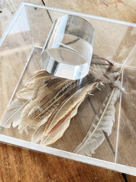 Vintage Lucite Box