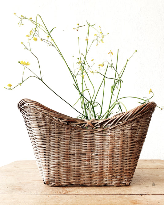 Antique Basket