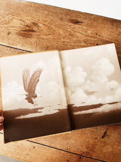 Vintage Natural History Book