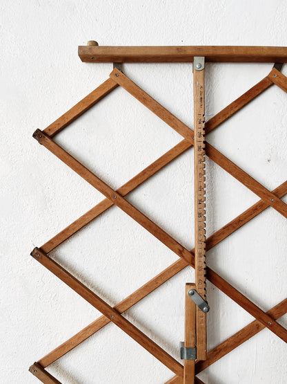 Vintage Accordion Gate