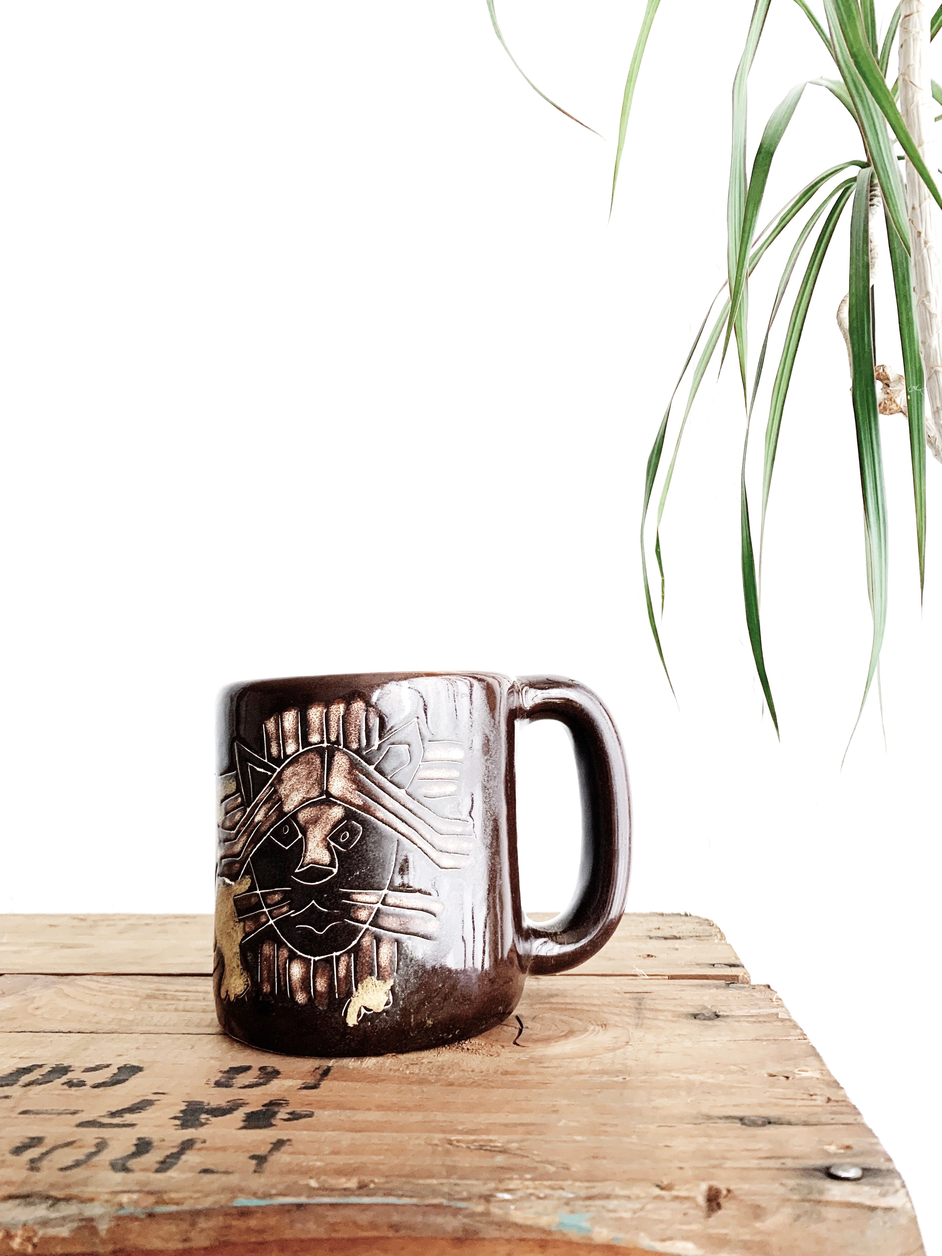 Mara of Mexico Lion Mug
