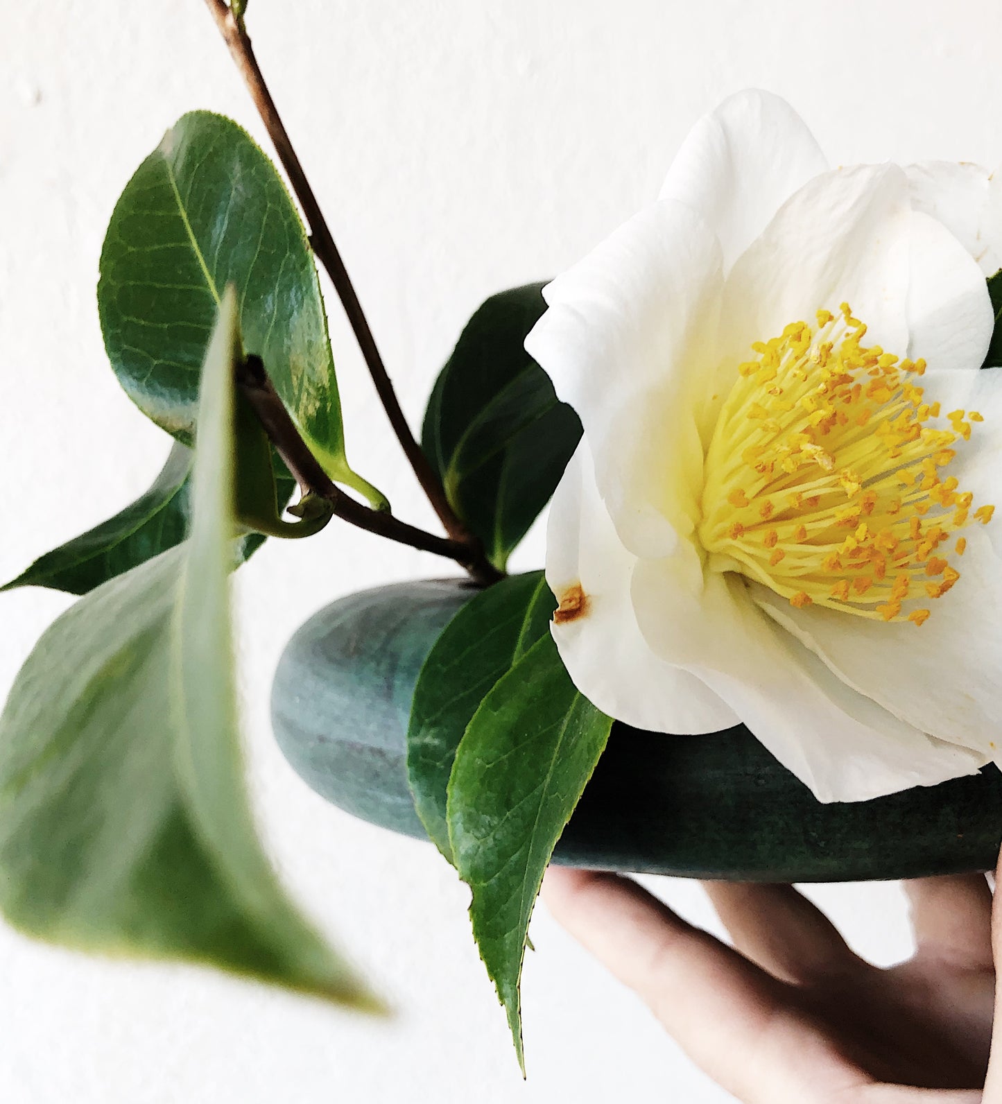 Vintage Ikebana Planter