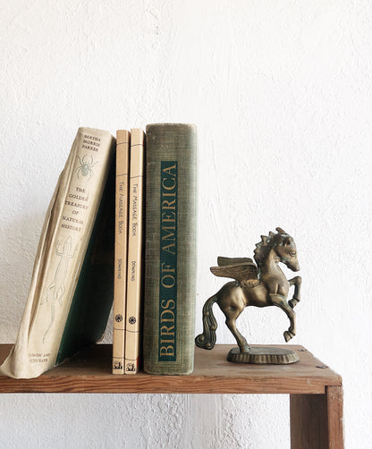 Vintage Solid Brass Pegasus