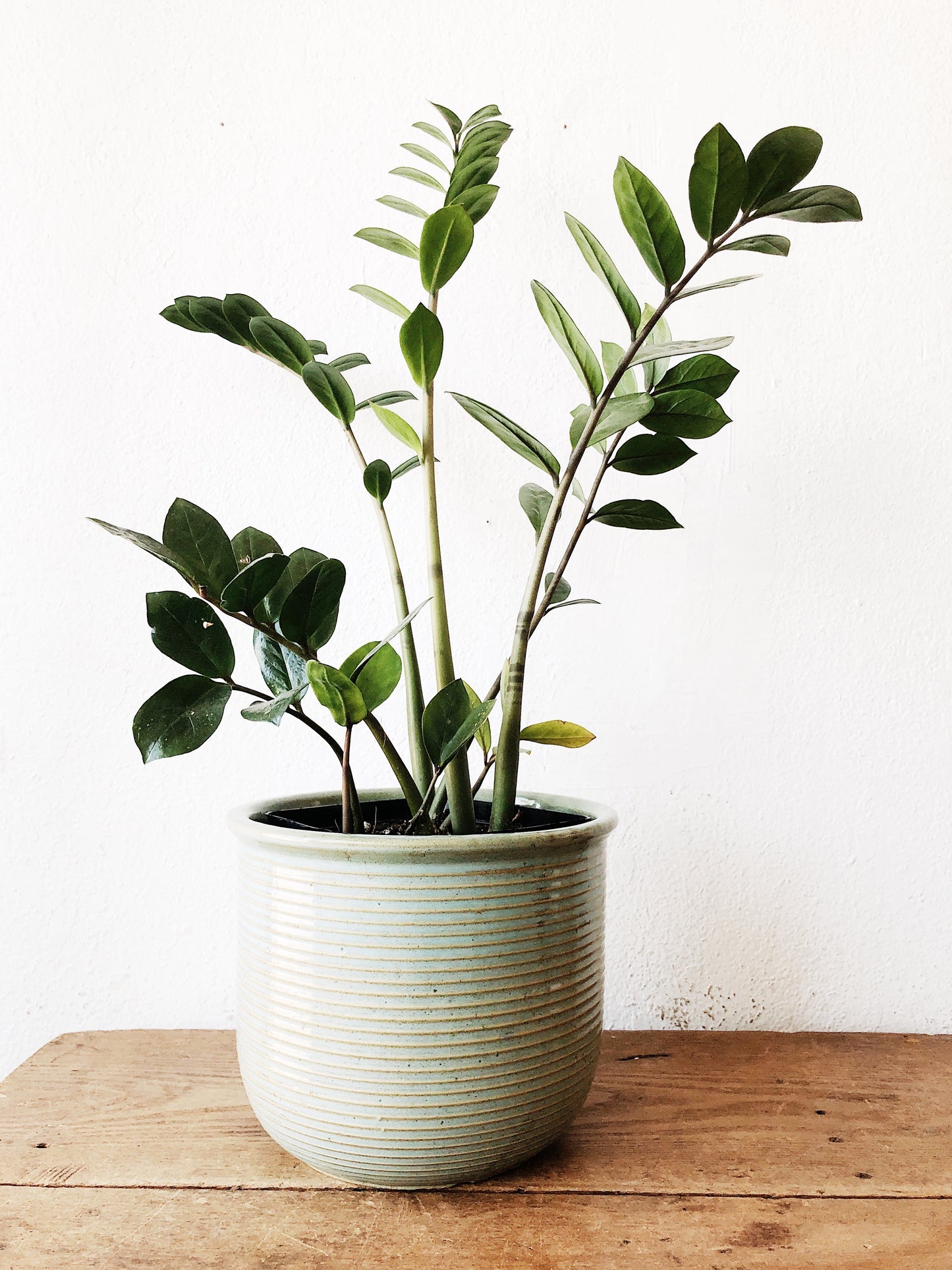 Vintage Ceramic Planter