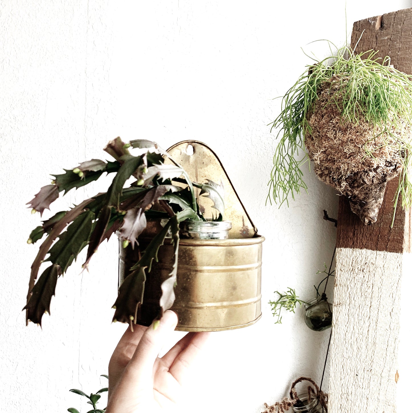 Vintage Brass Wall Planter