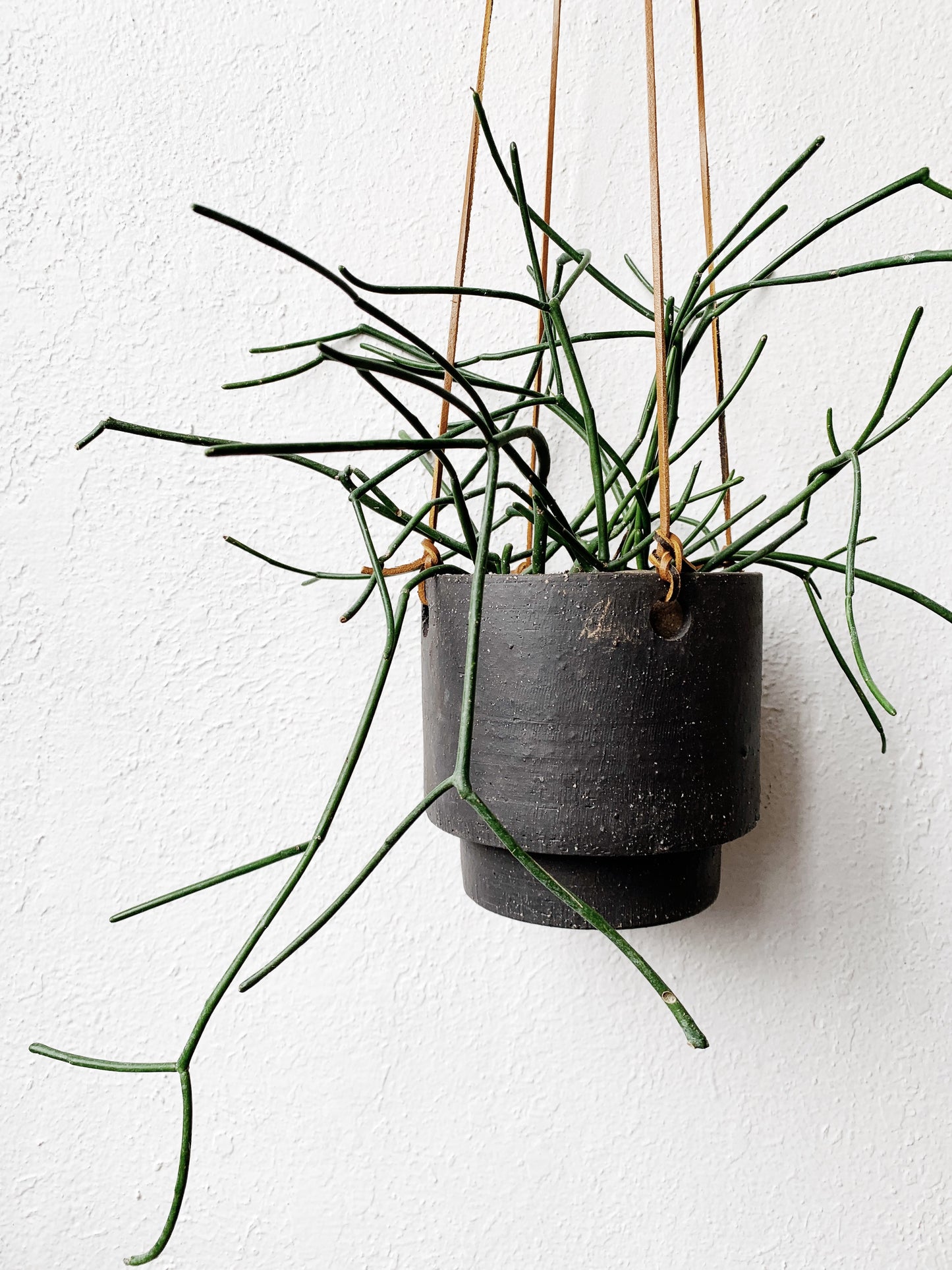 RESERVED Hanging Pot