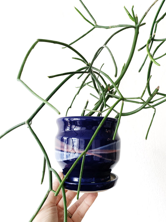 Vintage Ceramic Tray Pot