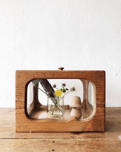 Vintage Wooden Terrarium with Mushroom