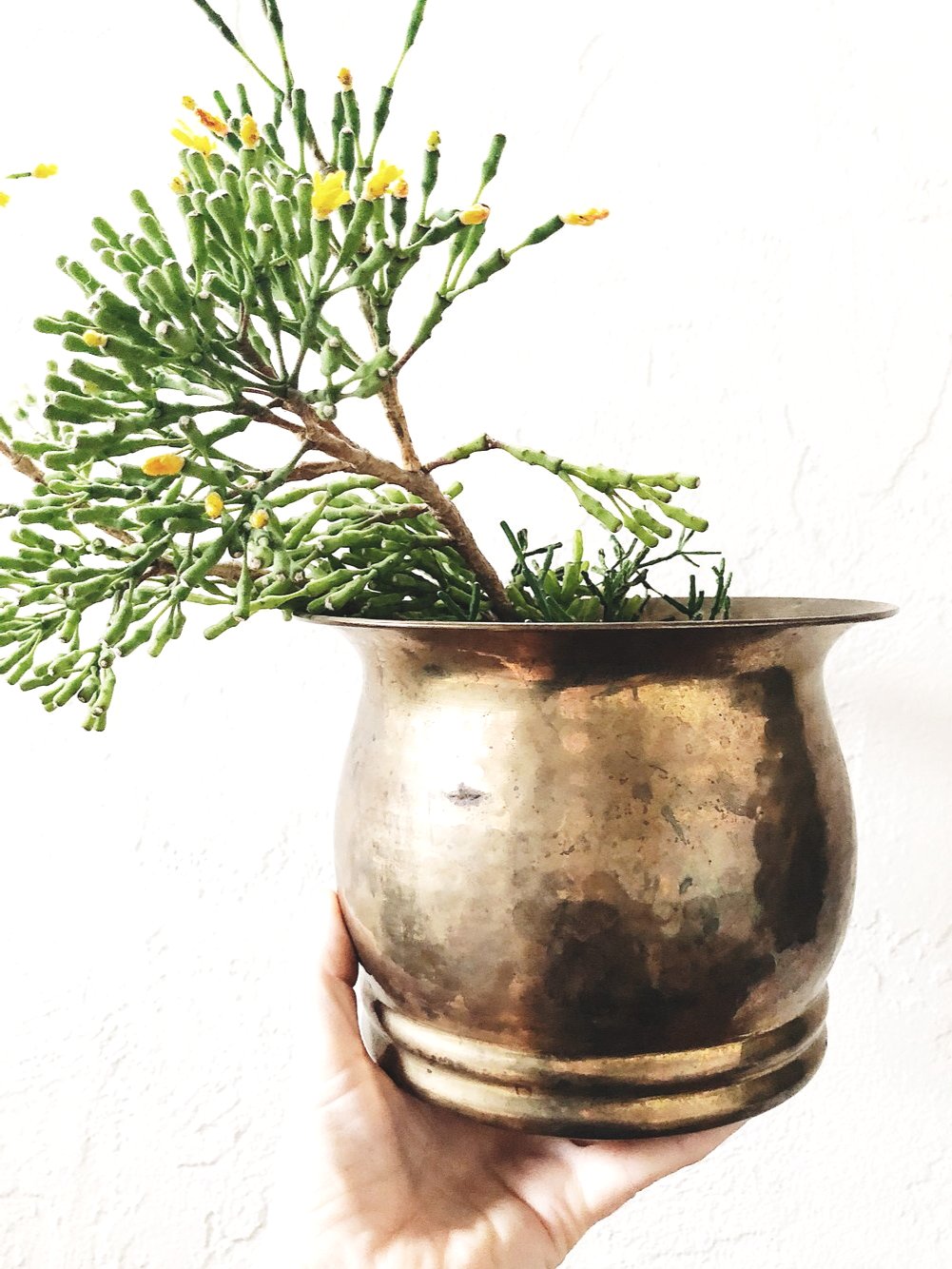 Vintage Hammered Brass Planter