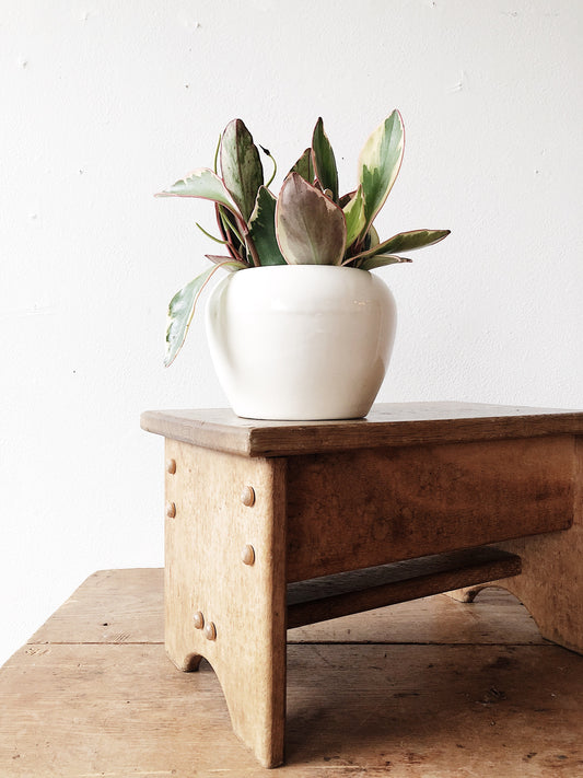Vintage Wooden Step Stool
