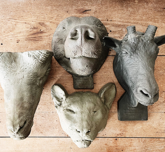 Vintage Taxidermy Mould