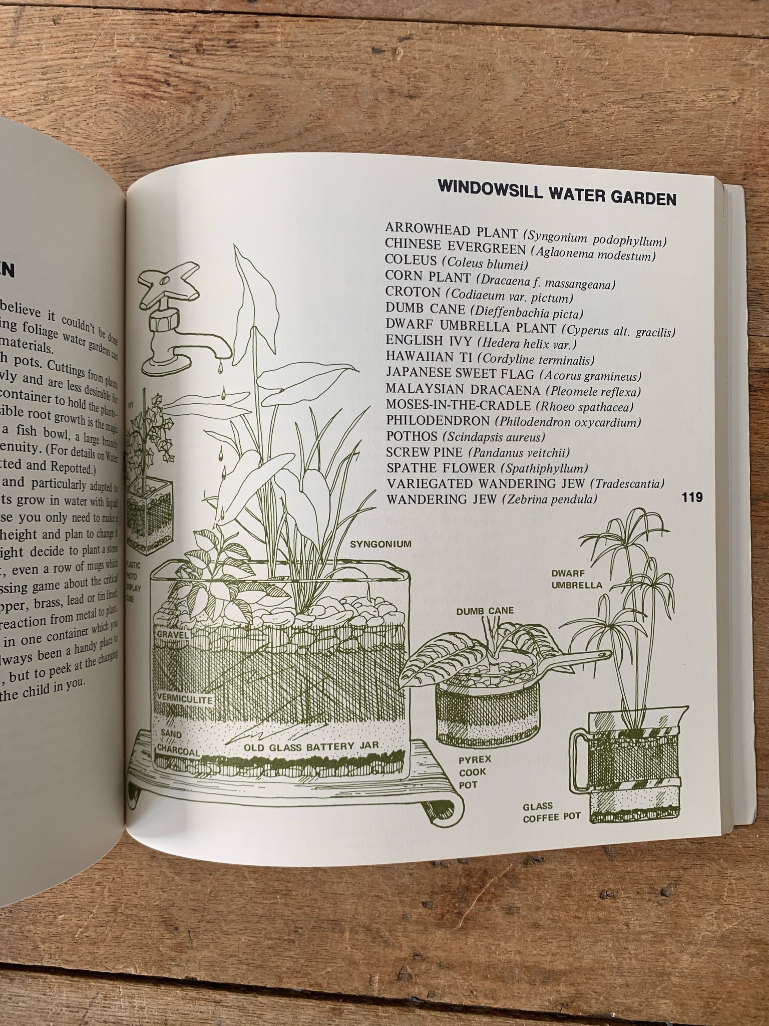 Vintage Plant Care Book