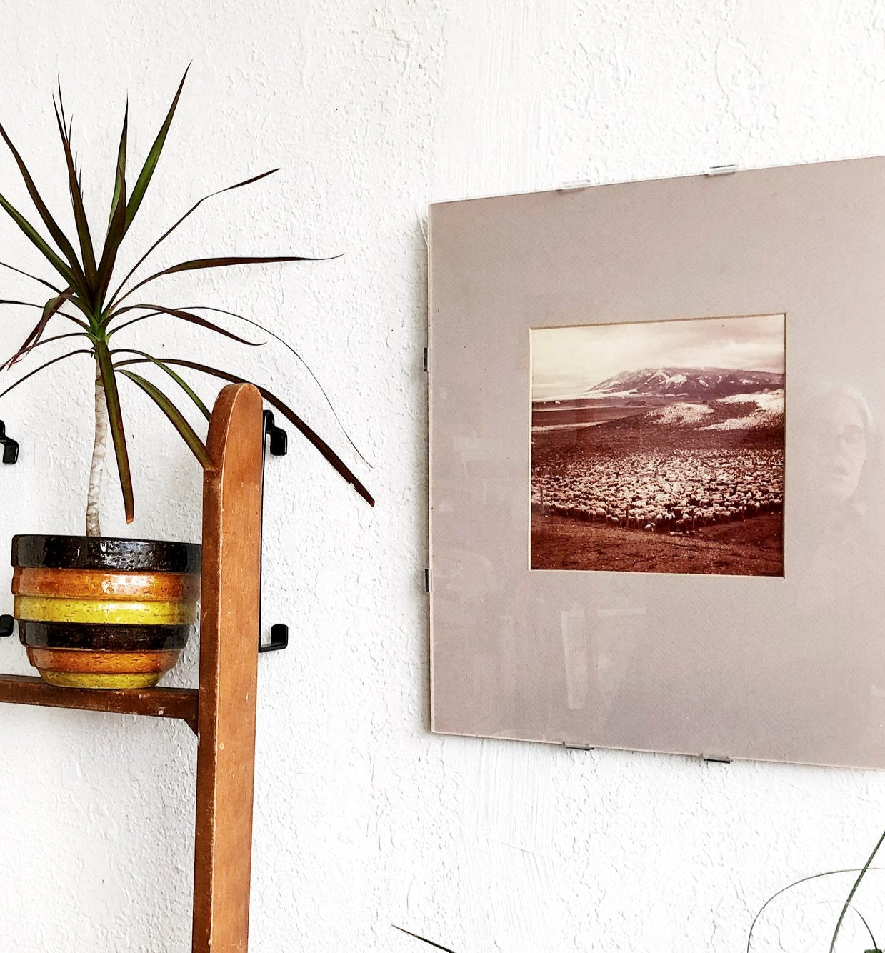 Vintage Icelandic Film Photo