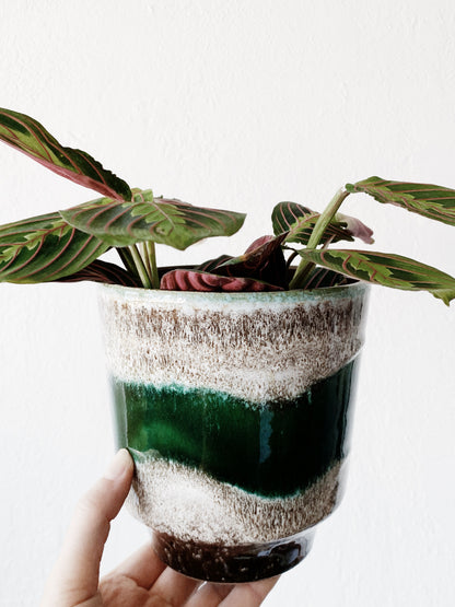 Mid Century Ceramic Pot