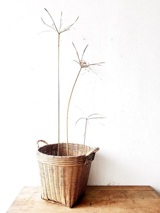 Vintage Bamboo Plant Basket
