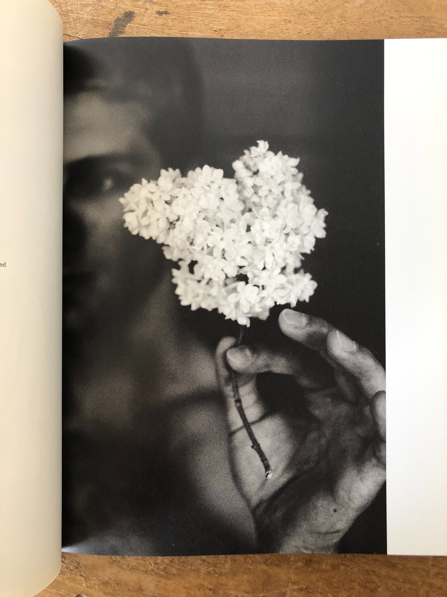 Naked Flowers Exposed Vintage Book