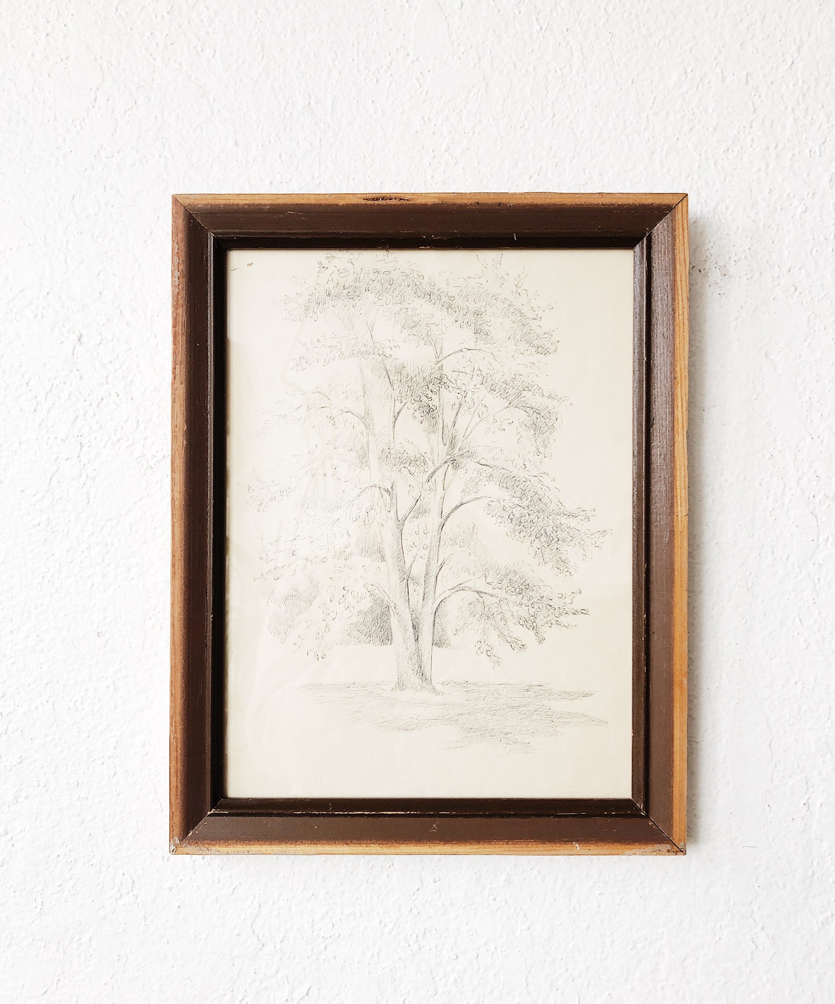 Vintage Original Drawing - Tree Series